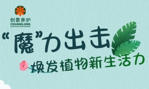 煥發植物新生！魔源速大樹營養液新品首發